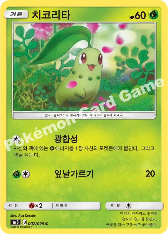 치코리타