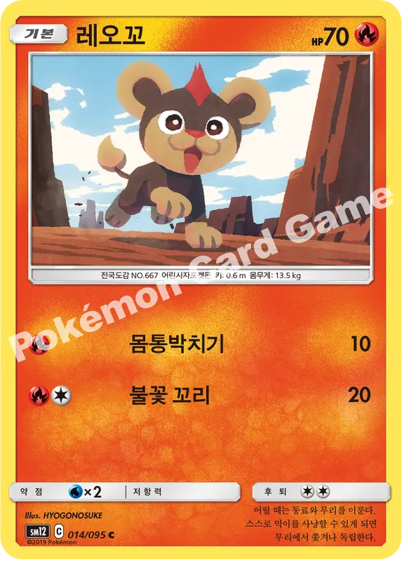 레오꼬