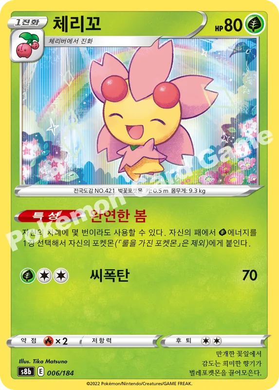 체리꼬