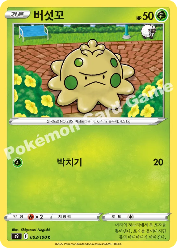 버섯꼬