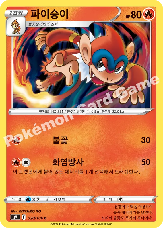 파이숭이