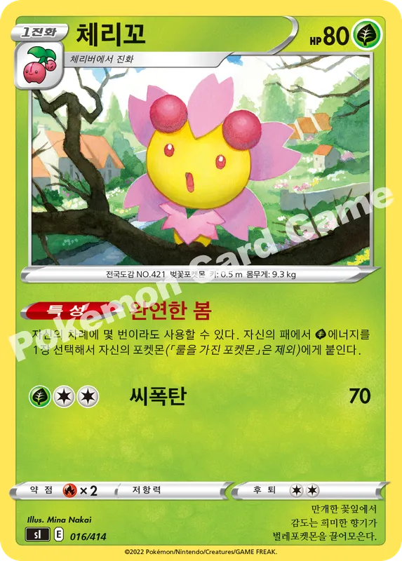 체리꼬
