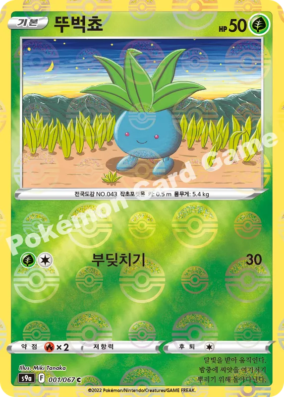 뚜벅쵸