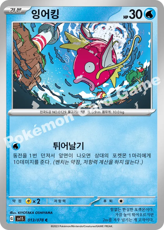 잉어킹