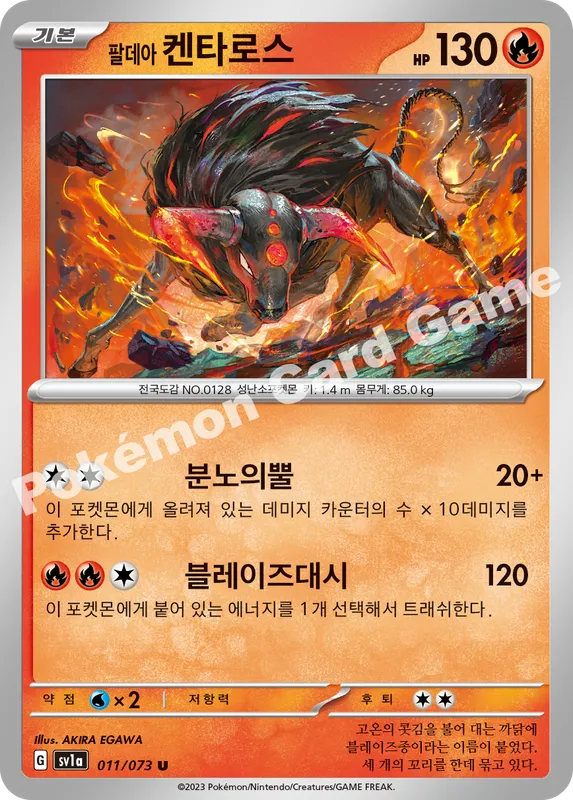 팔데아 켄타로스