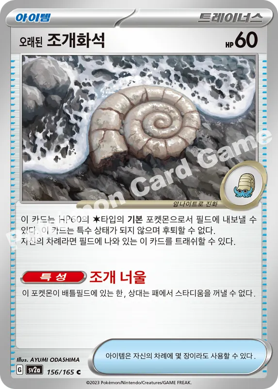 오래된 조개화석