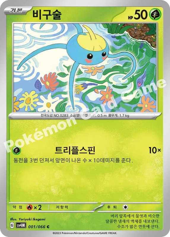 비구술