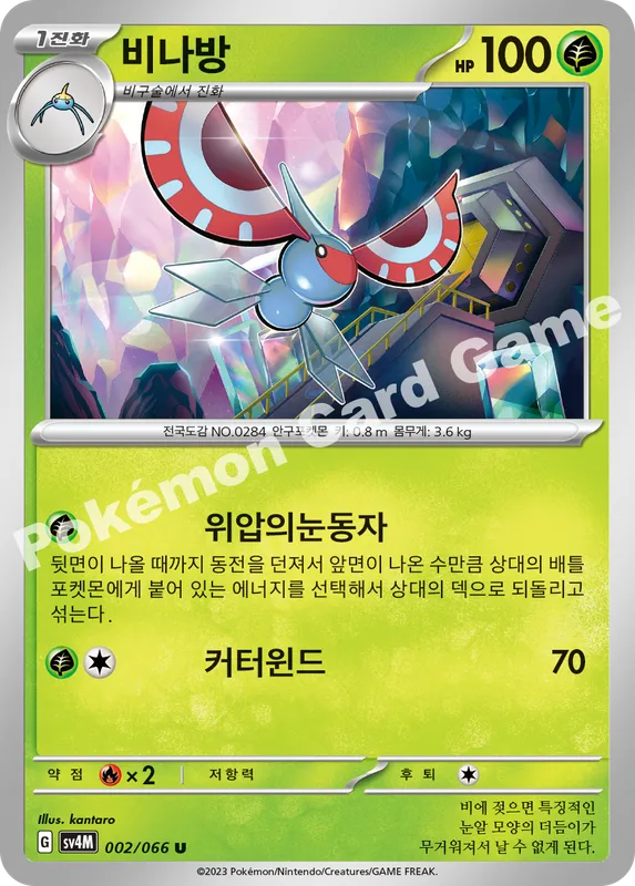 비나방