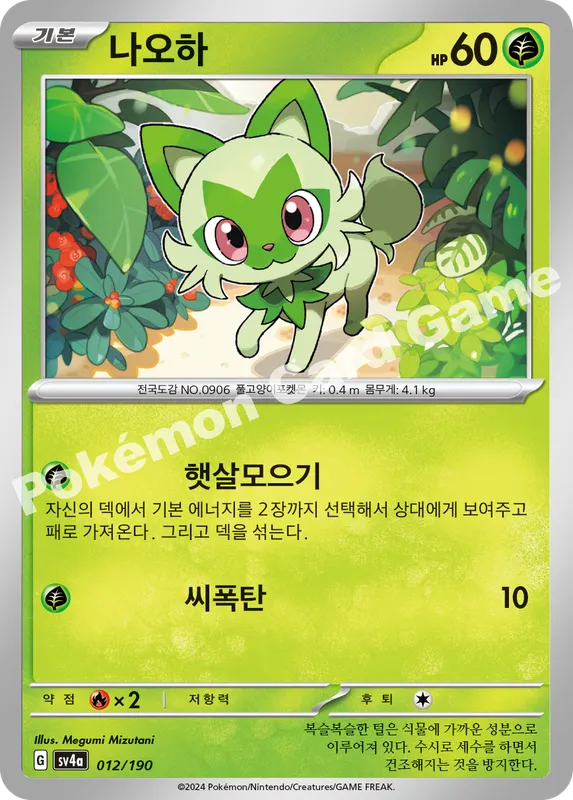 나오하