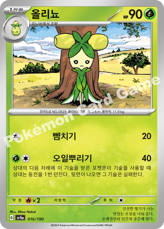 올리뇨