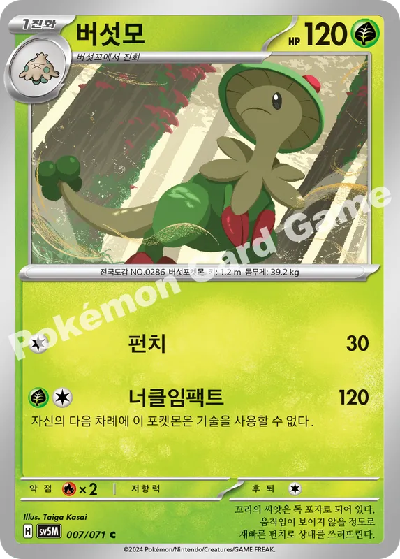 버섯모