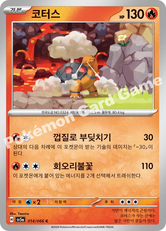 코터스