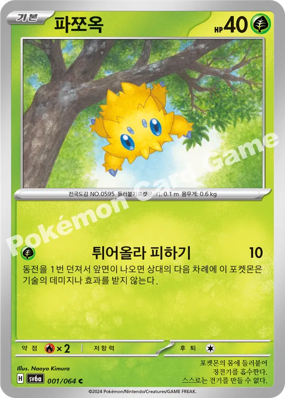 파쪼옥
