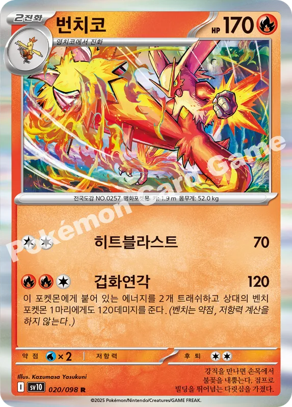 번치코