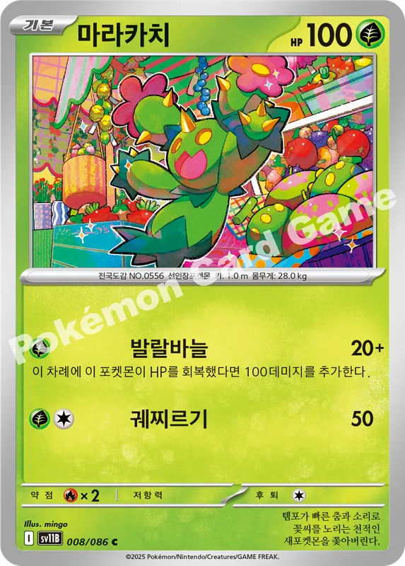 마라카치
