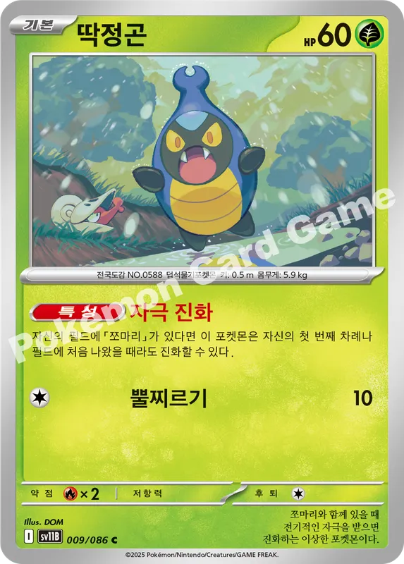 딱정곤