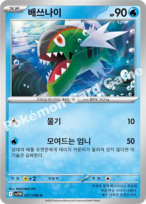 배쓰나이