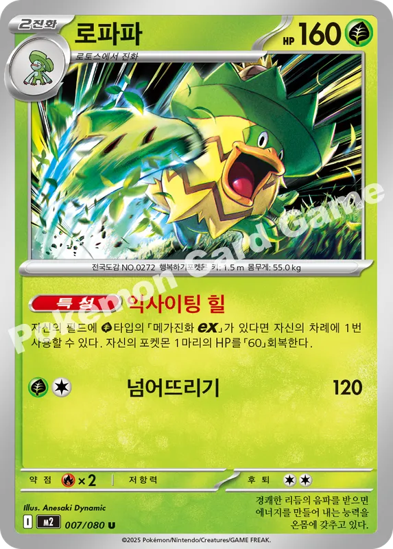로파파
