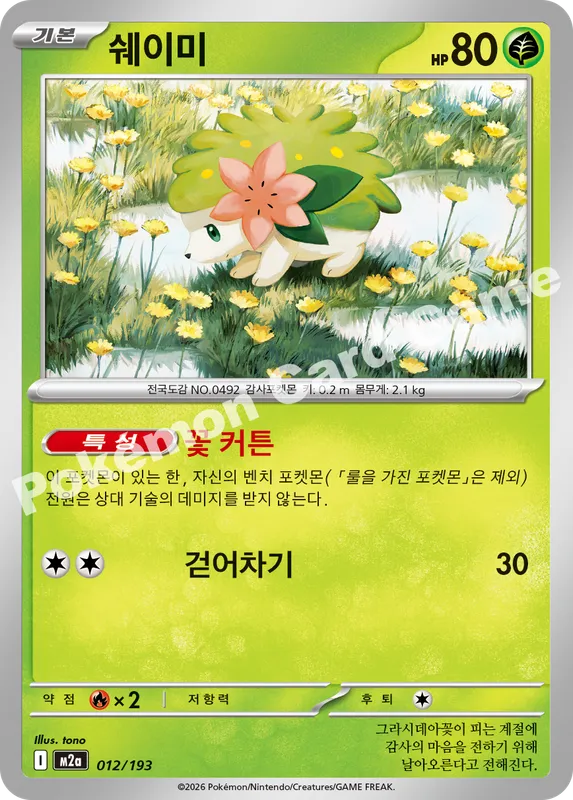 쉐이미