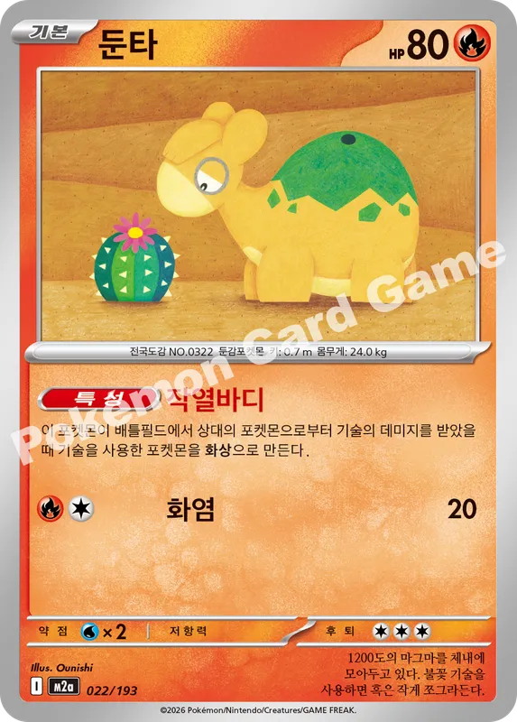 둔타