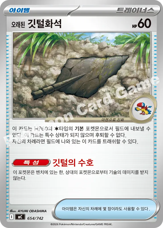 오래된 깃털화석