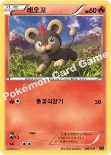 레오꼬