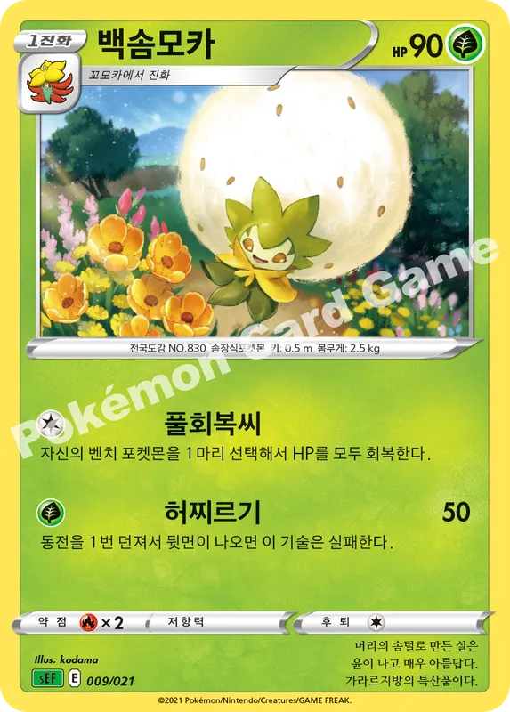 백솜모카