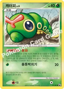 캐터피