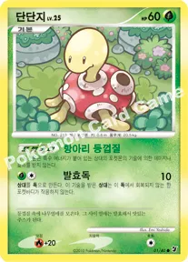 단단지