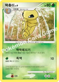 딱충이