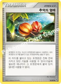 추억의 열매