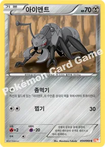 아이앤트