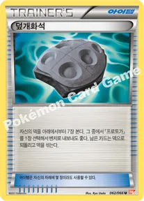덮개화석