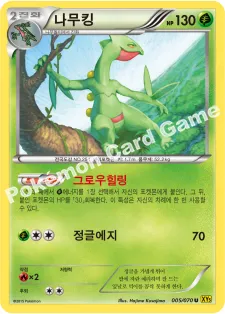 나무킹
