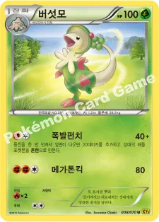 버섯모
