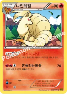 나인테일