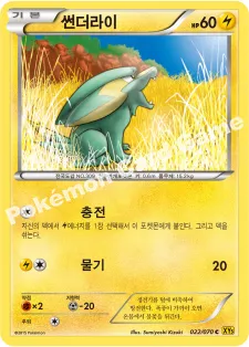 썬더라이