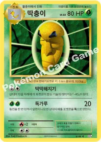 딱충이