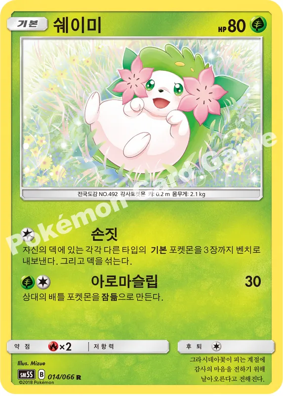 쉐이미