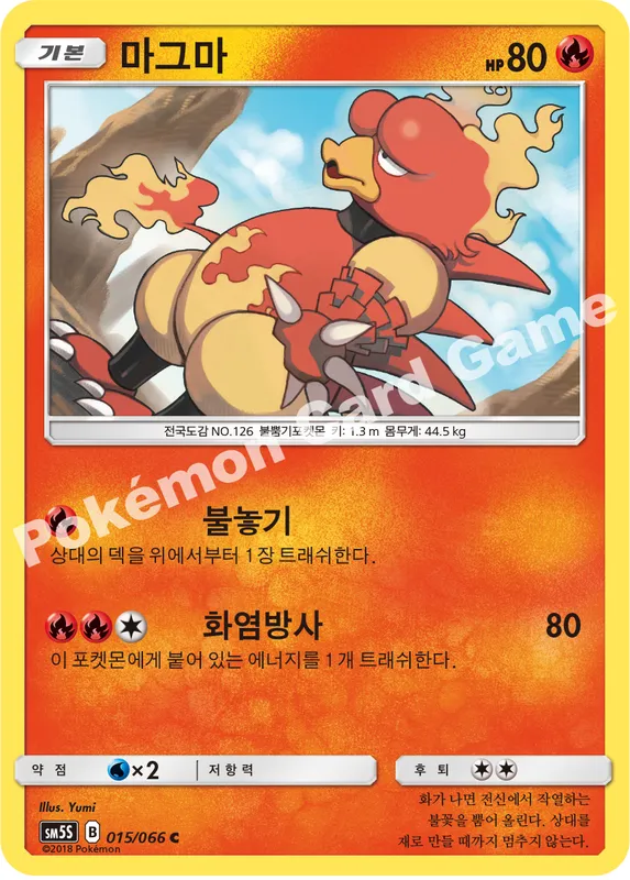 마그마