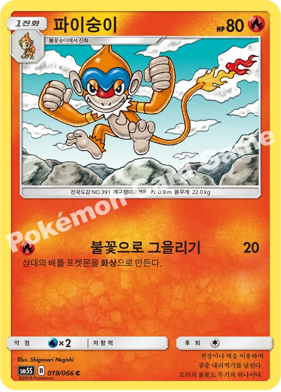 파이숭이