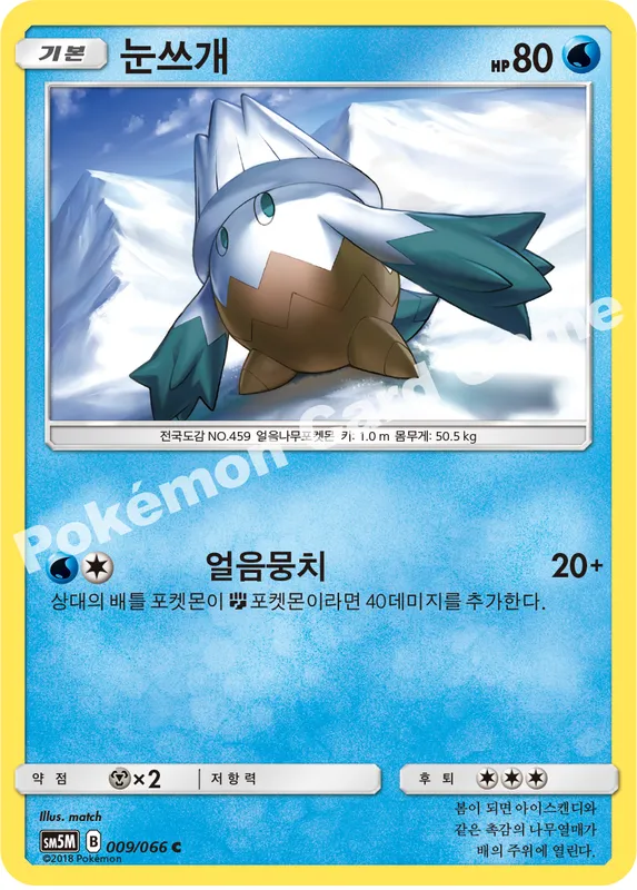 눈쓰개