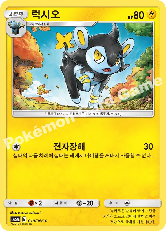 럭시오