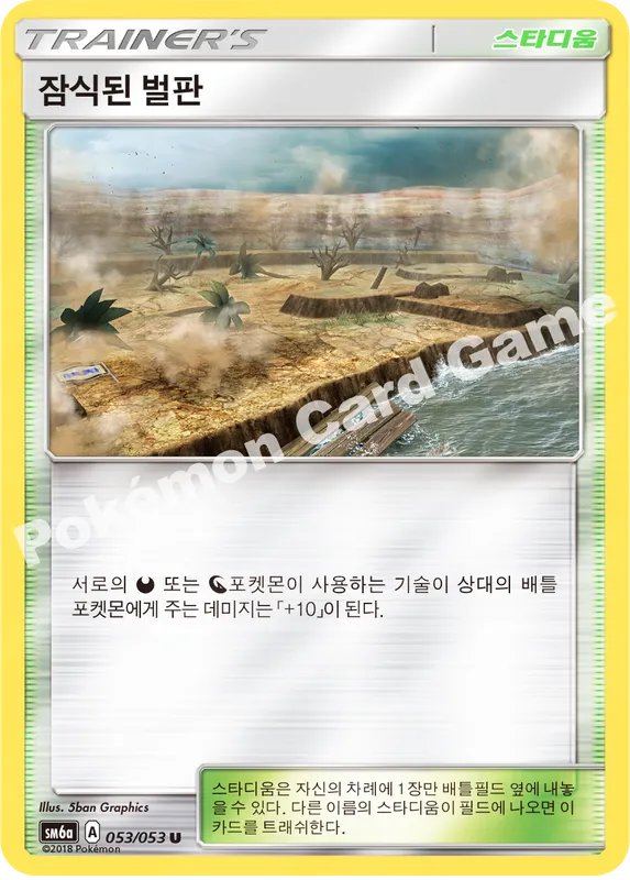 잠식된 벌판