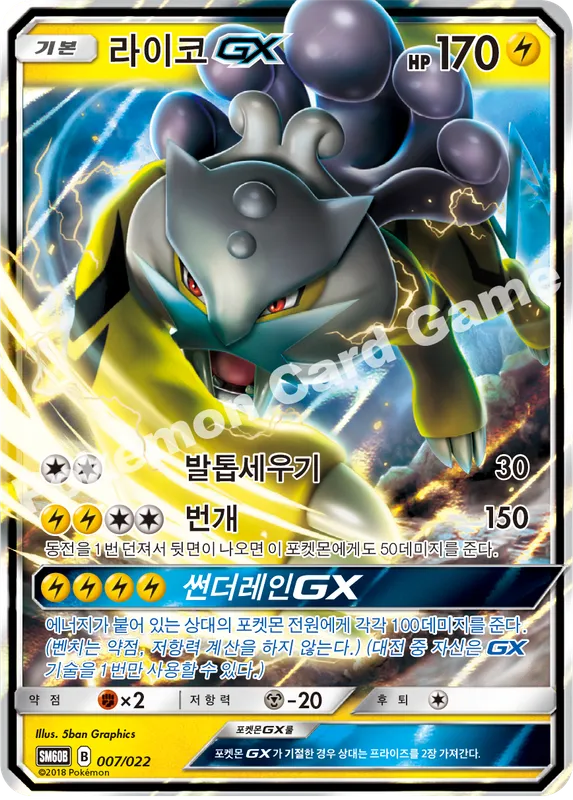 라이코 GX