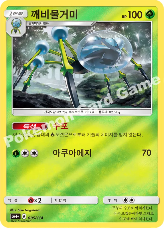 깨비물거미