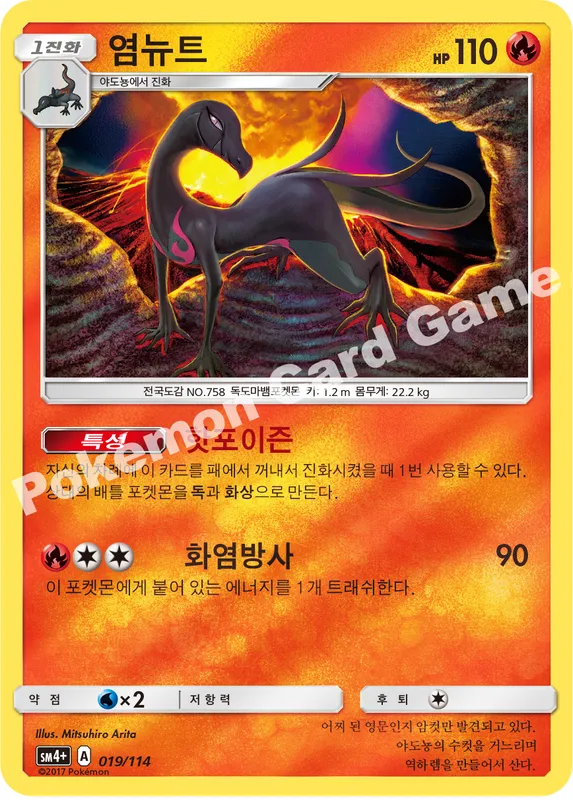 염뉴트