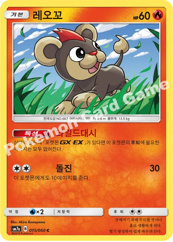 레오꼬
