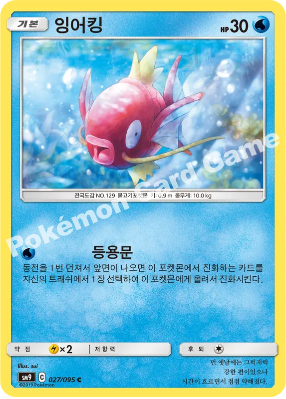 잉어킹