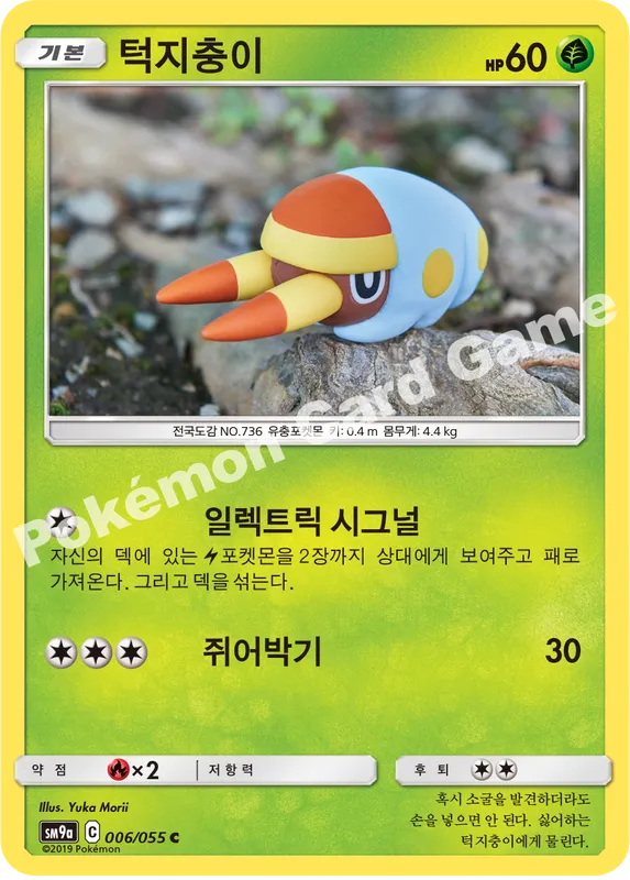 턱지충이